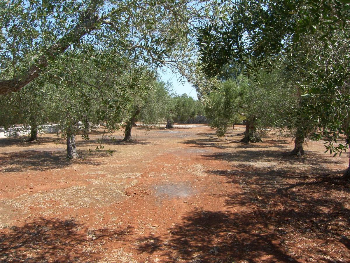 Tenuta Miliceddu Tricase Exterior foto